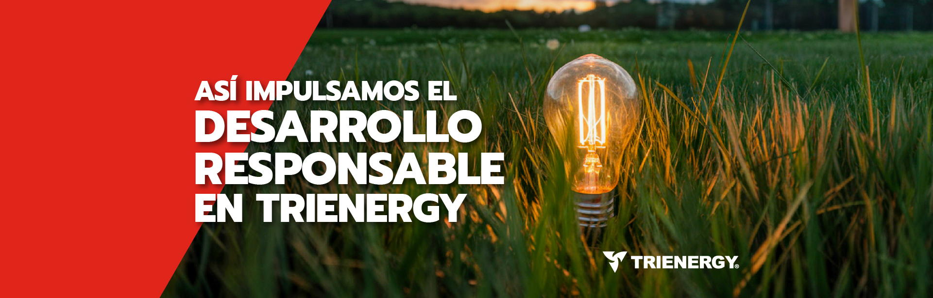 Sostenibilidad en TRIENERGY mediante soluciones energéticas eficientes y gestión responsable de recursos.