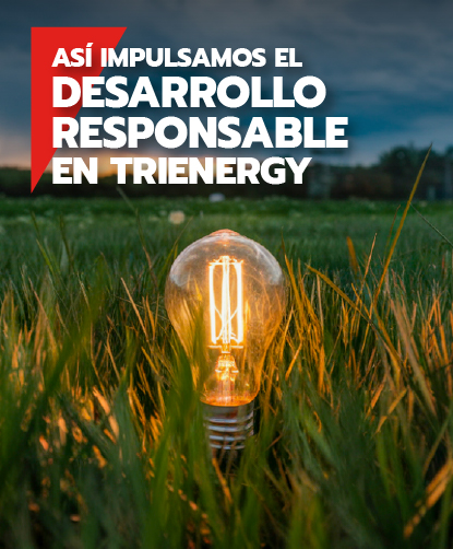 Nuestra verdadera visión sobre la sostenibilidad en TRIENERGY