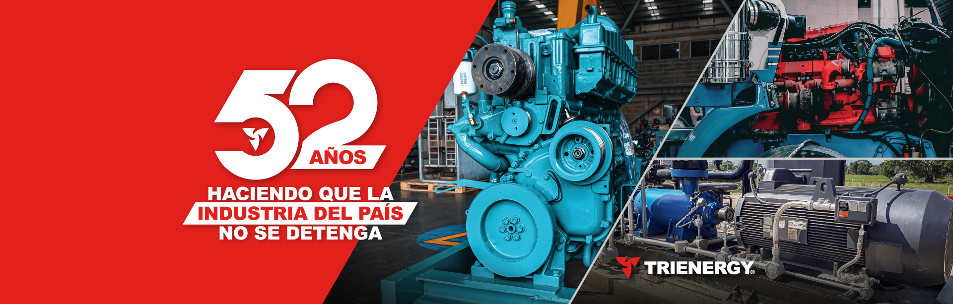 Equipo TRIENERGY trabajando en soluciones para la industria.